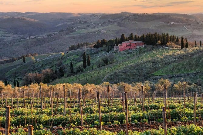 Tuk tuk in Chianti - Wine Tasting at Azienda Agricola Altiero