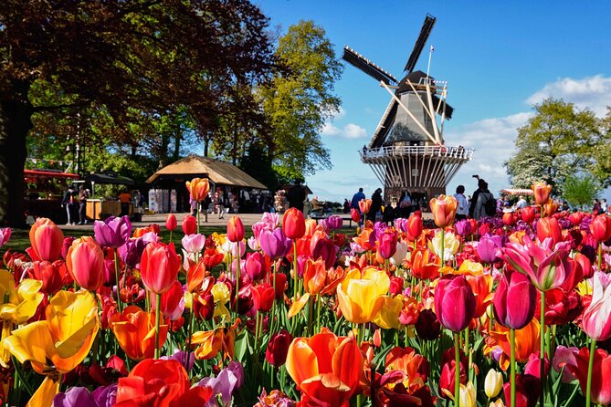 Tulip Paradise: Keukenhof Half-Day Private Tour - The Experience of the Flower Fields Outside Keukenhof