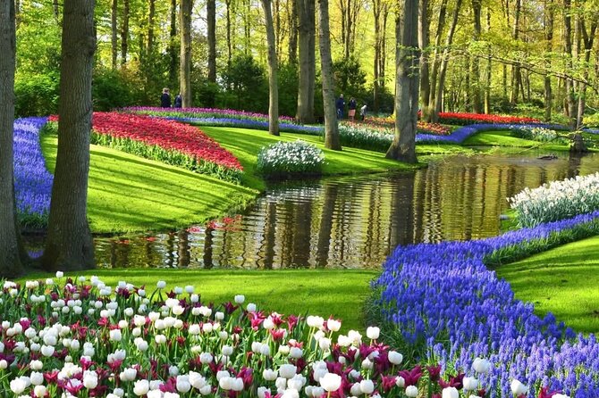 Tulips and Windmills Skip the Line Private Tour from Amsterdam - Visiting Keukenhof Gardens: A Floral Wonderland