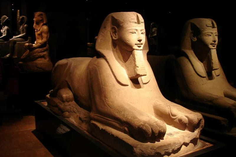 Turin: Torino+Piemonte 5-Day City Card - Discovering Turin’s Top Museums and Cultural Sites