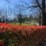 Turin: Urban Hills Hiking and Wellness Tour - The Meeting Point and Logistics