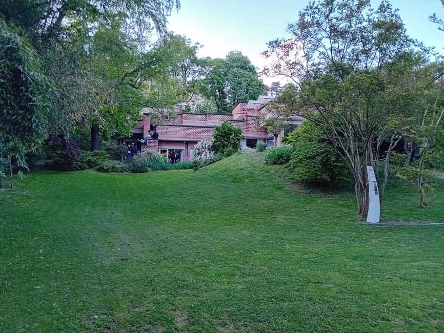 Turin: Visit and tasting at Casa Luzi Architecture and House Museum - Tasting Four Top Wines from Luzi Donadei Winery