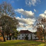 Turku archipelago: Afternoon Tea at Söderlångvik Manor - The Tea Service: From Scones to Pastries