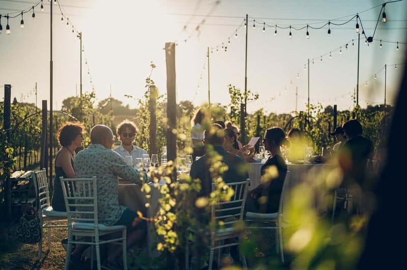 Tuscan Vineyard Dinner with Wine Tasting - Scenic Setting in Poggio ai Laghi Vineyard