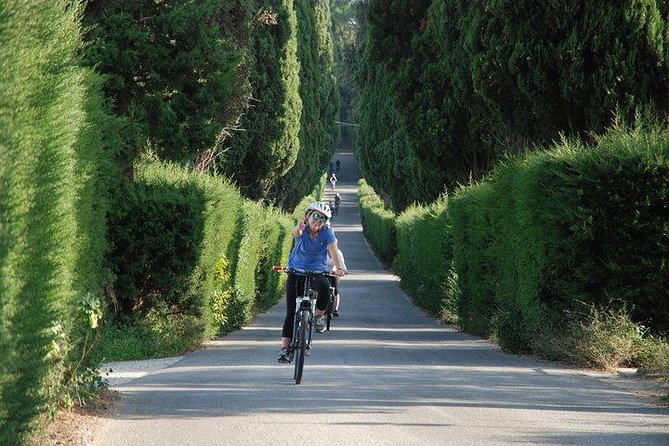 Tuscany Bike Tours Through the Chianti Hills with Wine Tasting - Exploring the Charming Chianti Landscape