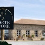 Tuscany: Classic Wine Tasting - The Starting Point: Corte Pavone Winery in Tuscany