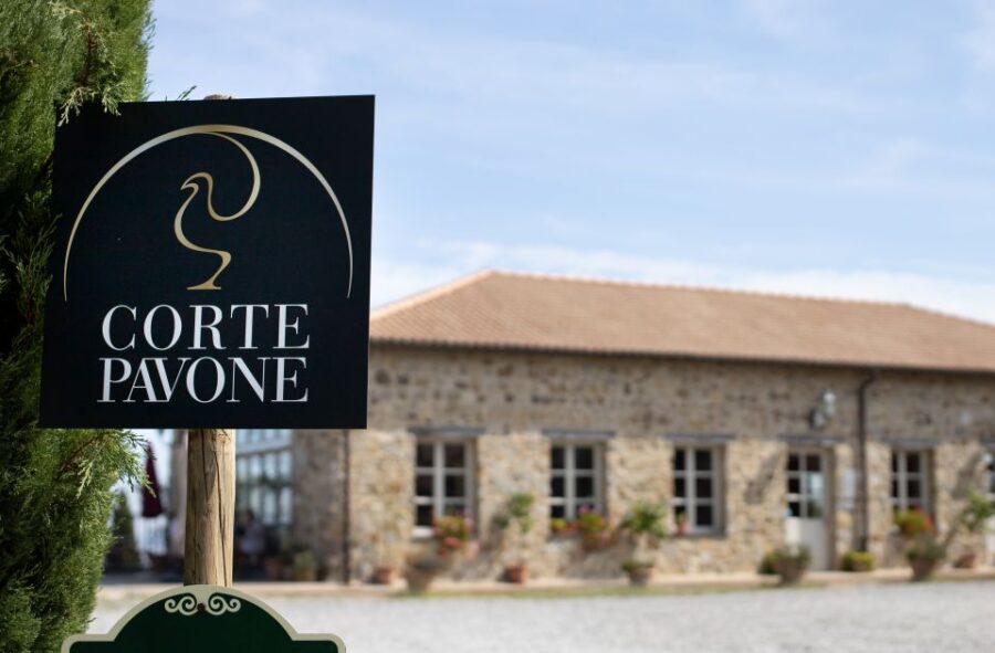 Tuscany: Classic Wine Tasting - The Starting Point: Corte Pavone Winery in Tuscany