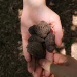 Tuscany Crete Senesi : Truffle Hunting Tour - Exploring the Heart of Tuscany: Crete Senesi and Its Natural Beauty