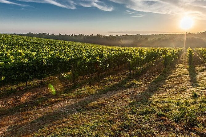 Tuscany from Rome- Siena and San Gimignano Private Day Tour - Departure from Rome with Comfortable Private Transport