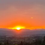 Tuscany Tour Siena - San Gimignano - Winery - Exploring San Gimignano’s Medieval Skyline
