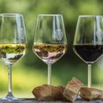 Tuscany: White Wine Tasting with Aperitivo at a Local Winery - Bocce Ball and Garden Relaxation in Tuscany