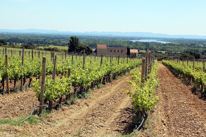 Two intensive days discover exceptional wines of the Rhône valley - Exploring Châteauneuf-du-Pape’s Iconic Wines