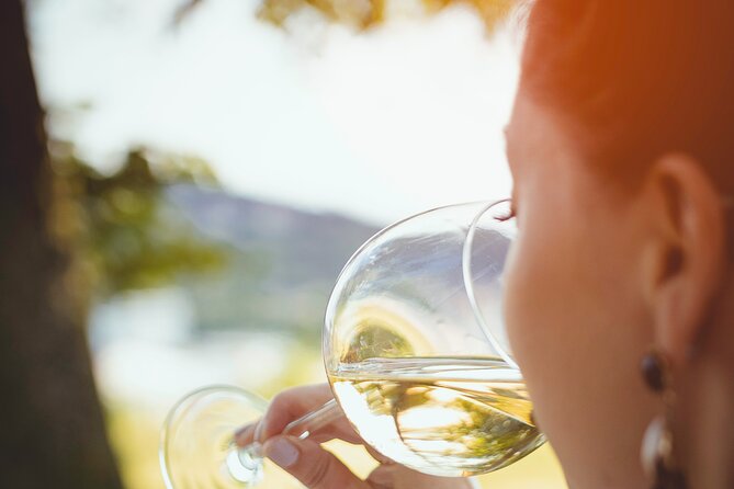 Two Wine Tastings and Visit to a Historic Cellar Inside Old Walls of Montalcino - The Guided Visit to a Historic Cellar Inside Old Walls