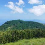 Uka Nature Park Private Hiking or Running Tour - Climbing Vojak: The Park’s Highest Point
