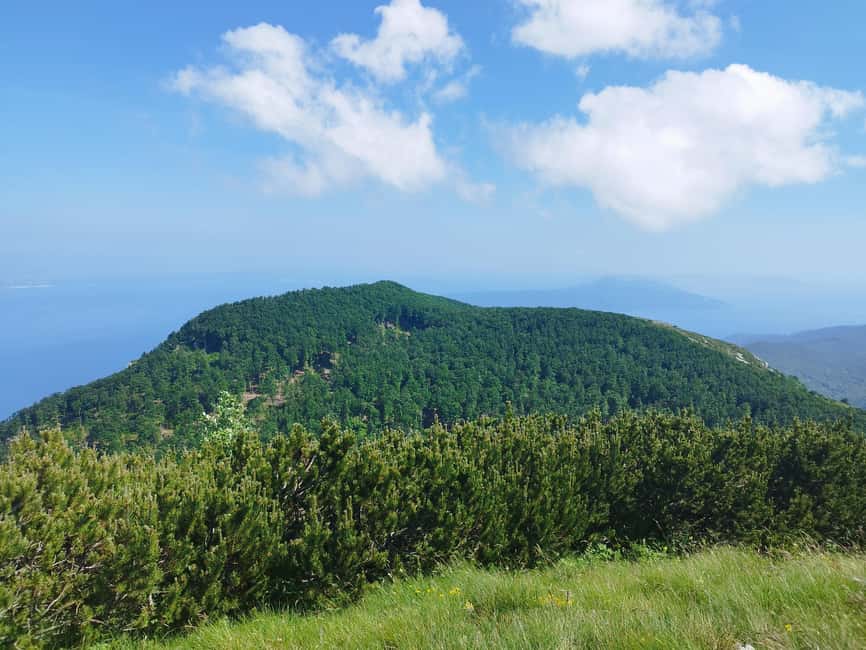 Uka Nature Park Private Hiking or Running Tour - Climbing Vojak: The Park’s Highest Point