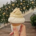 Ultimate gelato experience in Bologna - The Best Hidden Gelato Makers in Bologna