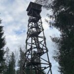 Ultimate Husky dog sledding experience in Latvia - Private tour from Riga - Departure from Riga to the Latvian Countryside