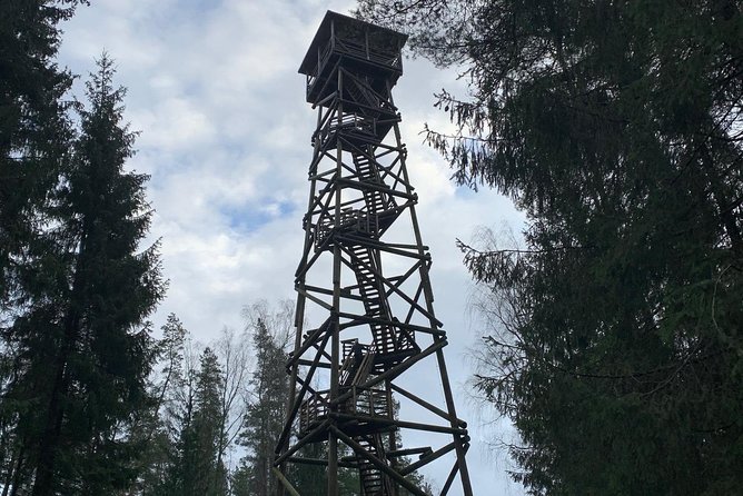 Ultimate Husky dog sledding experience in Latvia - Private tour from Riga - Departure from Riga to the Latvian Countryside