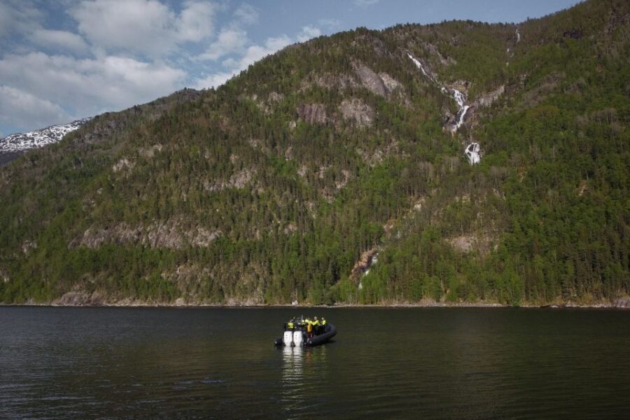 Ulvik adventure: Exploring Hardangerfjord's Osafjord by RIB - Starting Point at Promenaden 3 in Ulvik