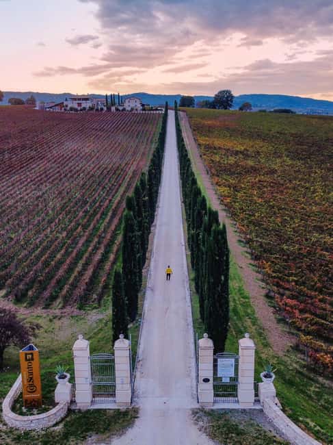 Umbria: Guided wine tasting ColSanto - Discover the Charm of Umbrian Wine at ColSanto for $65