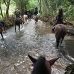 Umbria, Horseback riding in the Umbrian countryside with lunch - Guided Horseback Riding with Expert Instruction