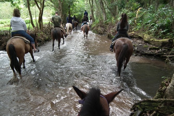 Umbria, Horseback riding in the Umbrian countryside with lunch - Guided Horseback Riding with Expert Instruction