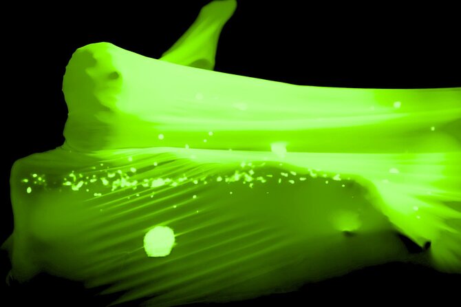 Underground Black Light Theatre Interactive Show in Prague - The Performance: Combining Film and Black Light Art