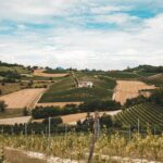 Underground Cave Visit with Food & Wine Tasting near Asti - Exploring Cella Monte’s UNESCO World Heritage Site Status