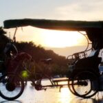 Unic Berlin (Multi) Rickshaw Private by Night Taylor Made - Pickup and Drop-Off Locations for Flexibility