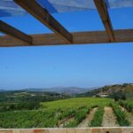 Unique wine tasting of organic Cretan wines - Meeting Point at Domaine Paterianakis in Meleses