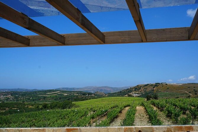Unique wine tasting of organic Cretan wines - Meeting Point at Domaine Paterianakis in Meleses