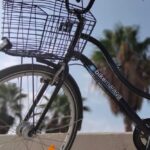 Urban Bike Rental in Malaga - Discovering Malaga’s Scenic Paseo Marítimo