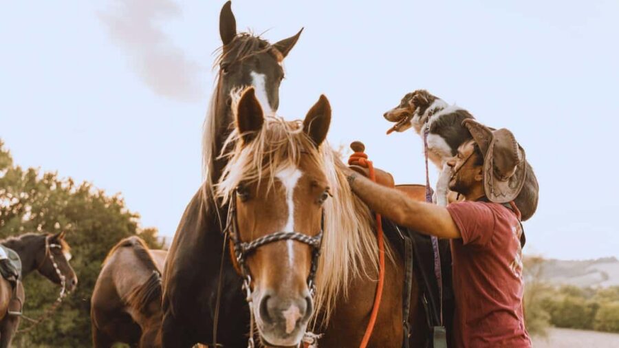 Urbino: 2-hour horseback ride in the Furlo Nature Reserve - Exploring the Furlo Gorge Nature Reserve on Horseback