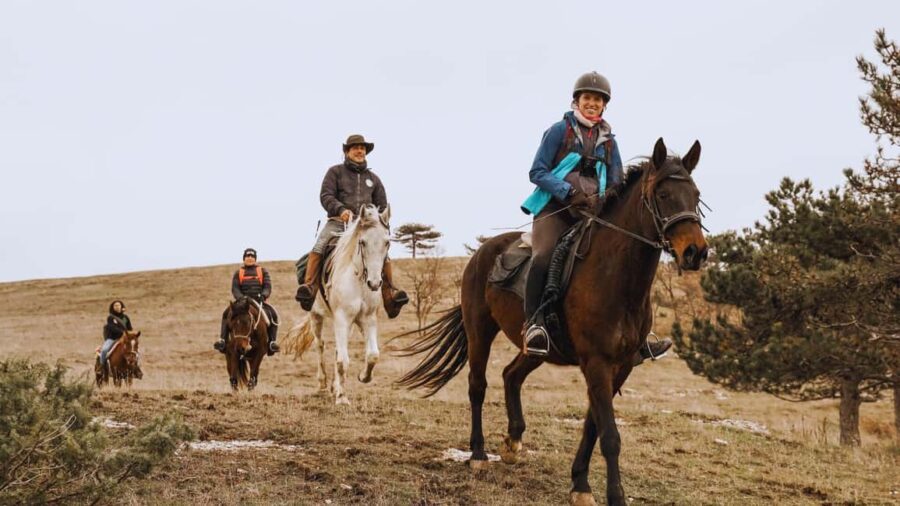 Urbino: Horseback Riding Tour with Guide - Riding Route: From the Countryside to Panoramic Viewpoints