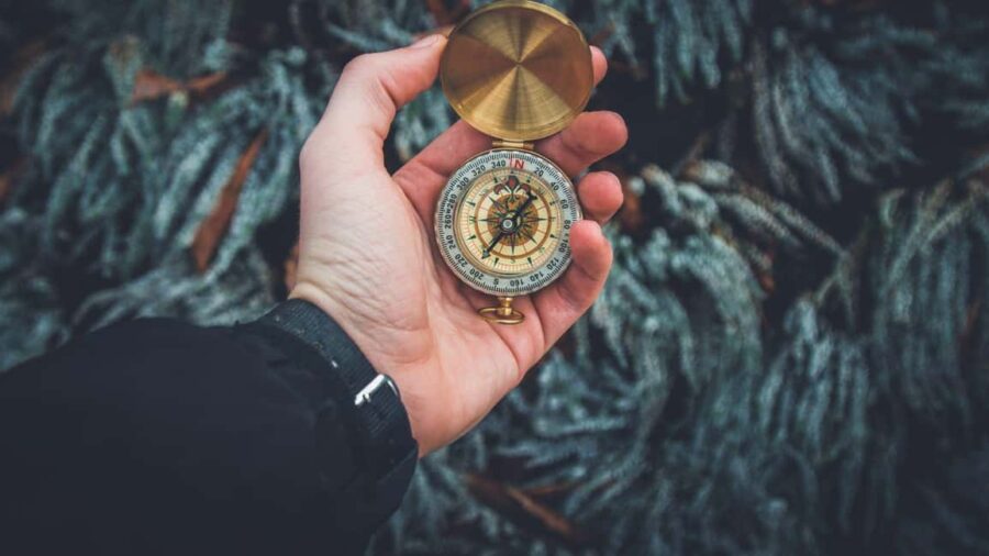 Utrechtse Heuvelrug: Expedition Triventure Team Challenge - From the Meeting Point to Hidden Nature Gems