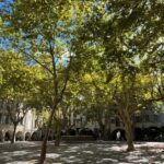 Uzès: Stories, Alleys, and Secrets of the Duchy - Discover Hidden Alleys and Their Little Wonders