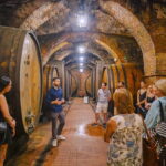 Val d'Orcia private tour: Montalcino, Pienza and Montepulciano - From Florence to the UNESCO Heritage Landscape of Val dOrcia