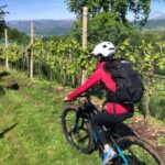 Valdobbiadene: Bike rental and Prosecco tasting - Exploring the Hills of Valdobbiadene on an E-bike
