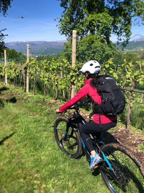 Valdobbiadene: Bike rental and Prosecco tasting - Exploring the Hills of Valdobbiadene on an E-bike