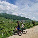 Valdobbiadene: Prosecco Express wine tasting and e-bike tour - Scenic E-bike Ride on Prosecco Hills Routes