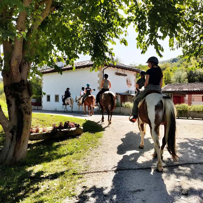 Valdobbiadene: Prosecco Hills Horseback Riding Tour - Starting Point in Valdobbiadene: Easy to Find and Convenient