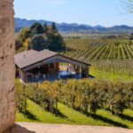Valdobbiadene: Prosecco tasting where Art meets Wine - Exploring Valdobbiadene: Art and Vine in Veneto