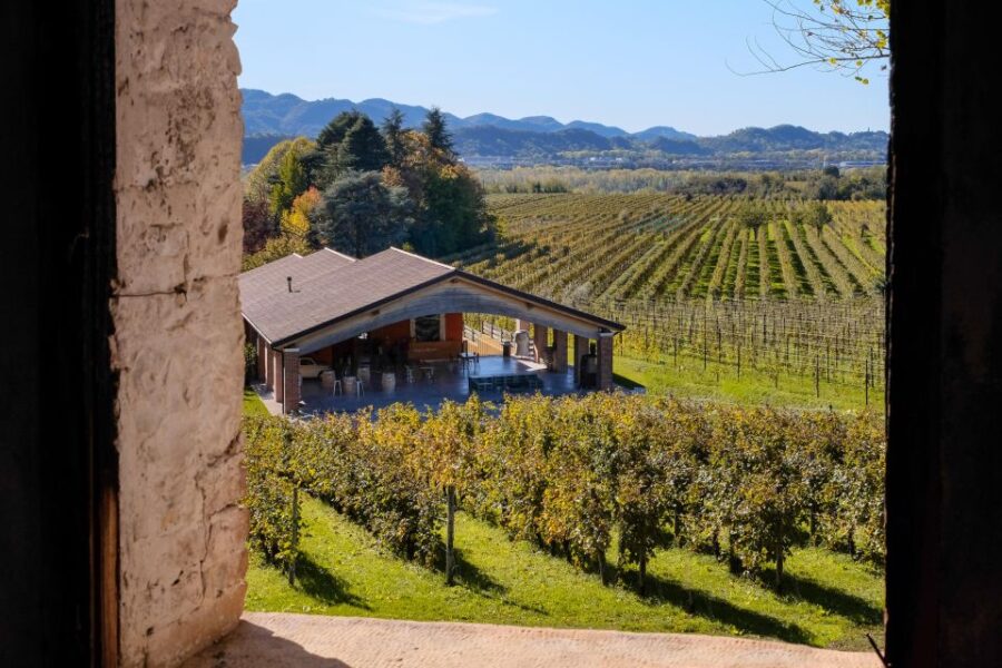 Valdobbiadene: Prosecco tasting where Art meets Wine - Exploring Valdobbiadene: Art and Vine in Veneto