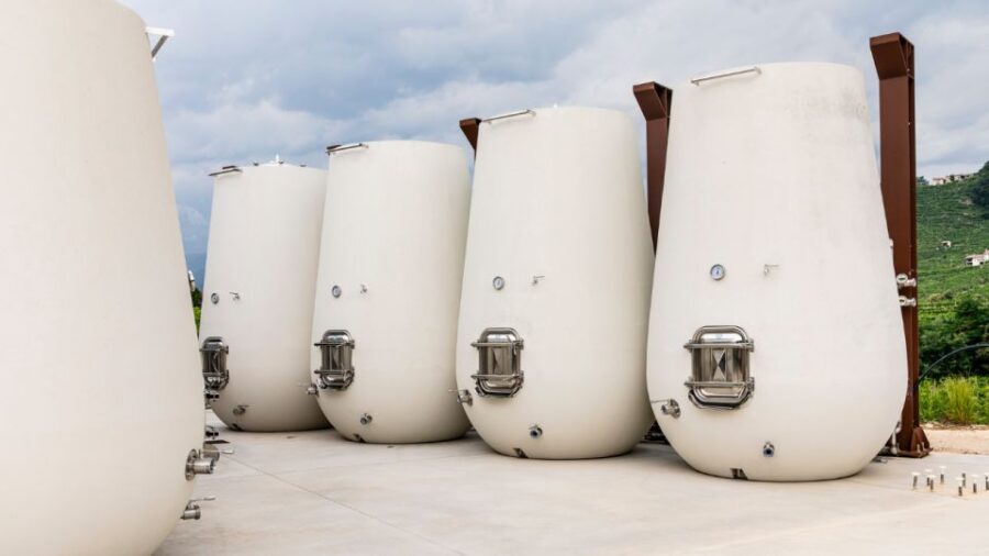 Valdobbiadene:Prosecco tasting,appetizers,winery & vineyard - Exploring the Prosecco Area and Denomination