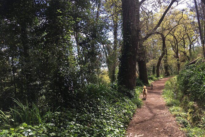 Vale Paraiso - Paradise Valley Walk - Learning about Madeira’s Agriculture and Traditions