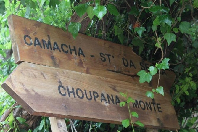 Vale Paraíso - Rochão (Half Day Walk) - Convenient Pickup and Transport in an Air-Conditioned Vehicle