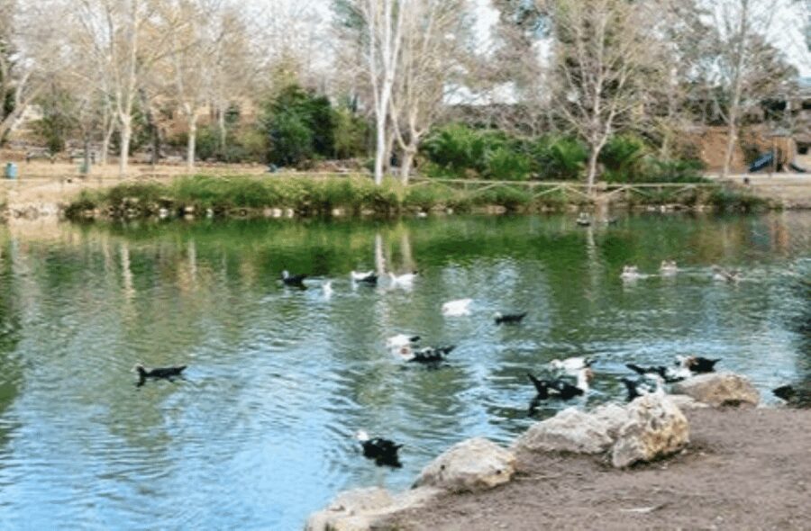 Valencia: Anna Alhambra and 3 Waterfalls Guided Tour - Starting Point and Transportation