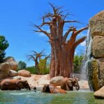 Valencia: Bioparc Valencia Admission Ticket - Accessible and Family-Friendly Facilities