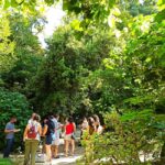 Valencia, Botanical Garden, Guided Tour - The Majesty of Monumental Trees in Valencia
