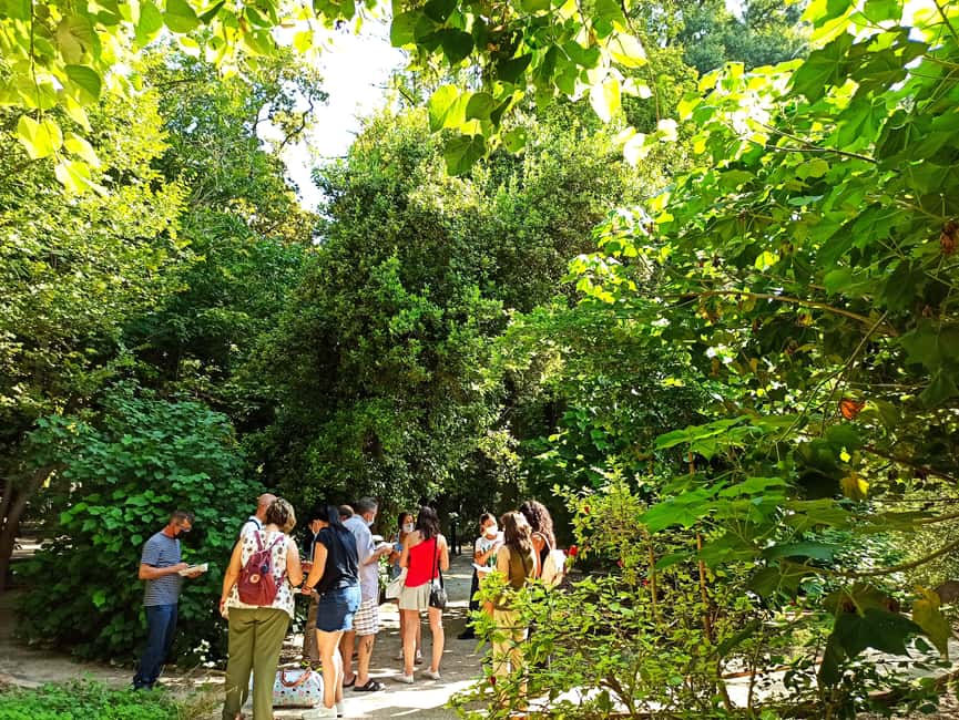 Valencia, Botanical Garden, Guided Tour - The Majesty of Monumental Trees in Valencia